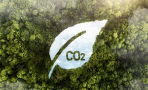 carbon offsetting
